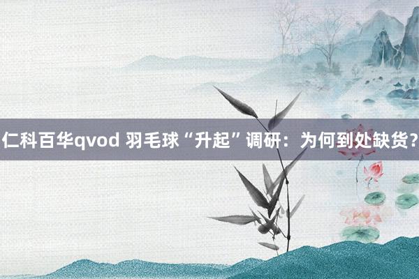 仁科百华qvod 羽毛球“升起”调研：为何到处缺货？