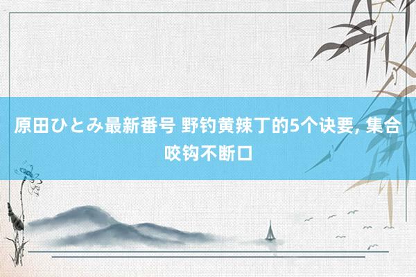 原田ひとみ最新番号 野钓黄辣丁的5个诀要， 集合咬钩不断口