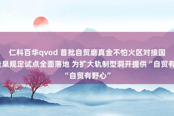 仁科百华qvod 首批自贸磨真金不怕火区对接国外高圭臬规定试点全面落地 为扩大轨制型洞开提供“自贸有野心”