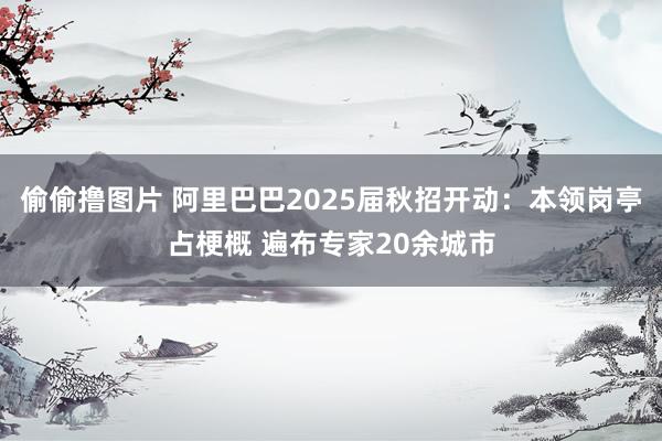 偷偷撸图片 阿里巴巴2025届秋招开动：本领岗亭占梗概 遍布专家20余城市